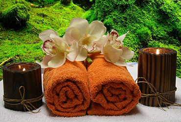 spa image home page 370x250
